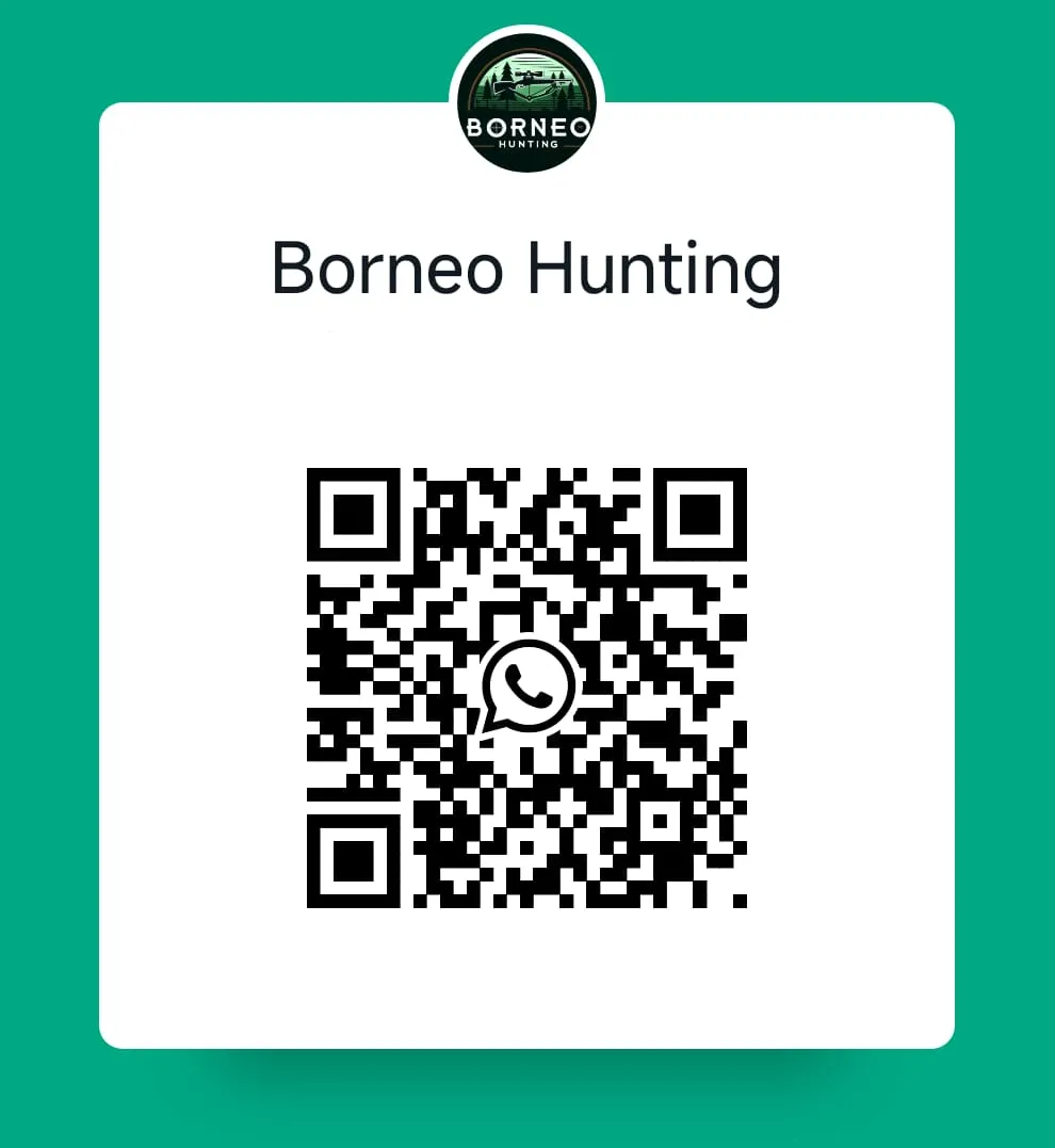 WhatsApp QR Code