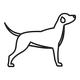 Gun icon